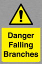 danger-falling-branches~